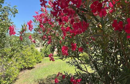 Sardinia Dream Home - Foto 21