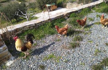 George Farmhouse - Foto 71