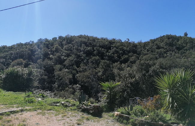 The Farm, Maria Serrao Aljezur - Foto 18