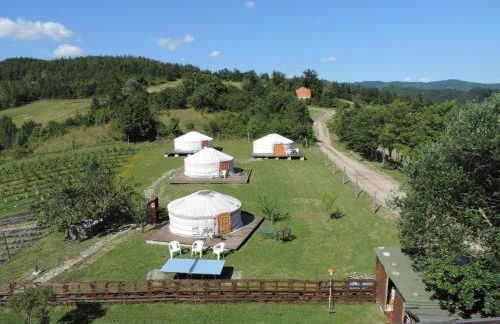 Società Agricola Cacigolara - Photo 128