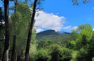 Cabana Pequeno Bosque Refúgio dás Águas - Foto 32