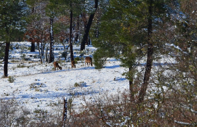 Casa Rural Mirador de los Tomillos - Foto 31
