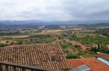 Sota Picasso - Foto 10