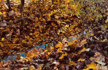 Ferienwohnung I Beck-Bräu nahe Bamberg - Foto 31