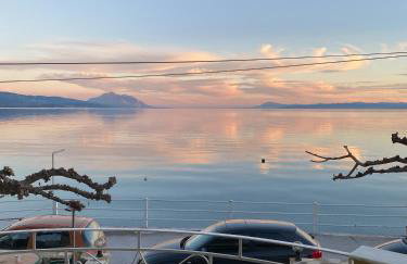 Evilion studios - Photo 30