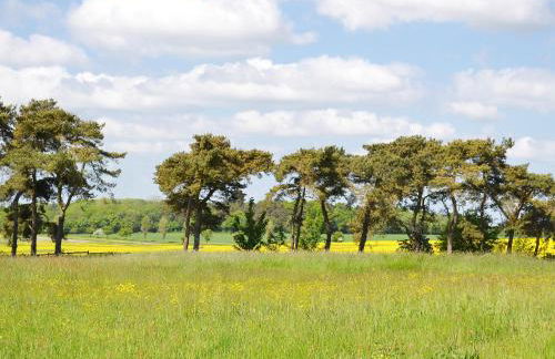 The Cowstall - Foto 15