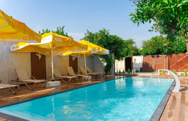 Collesium Garden - Foto 23