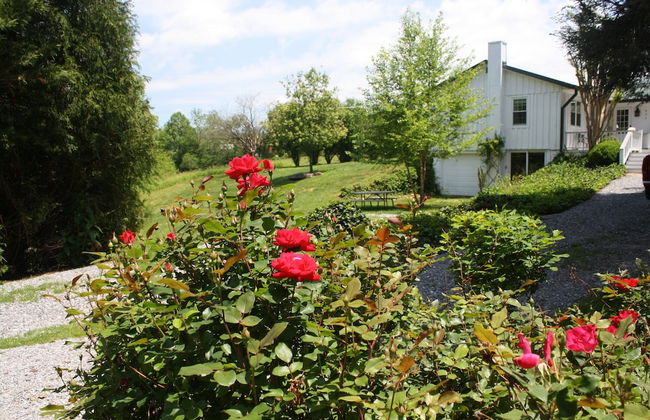 Peace of Paradise - Photo 34