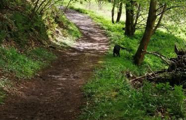 Lakes and Eden Valley. Thornhill Cabin - Foto 53