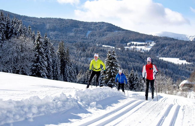 Lovely Chalet in Turracherhohe With Sauna - Foto 32