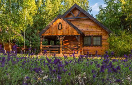 Siedlisko Janopole - Foto 8