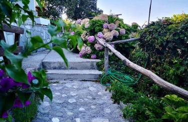 Daenerys Home in Agios Ioannis Papa Nero - Foto 31