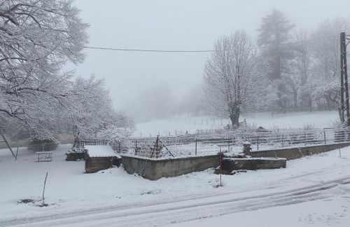 Gîte du Tilleul - Foto 42