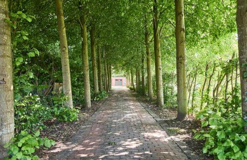 Altes Fährhaus - Ferienwohnung Boven, 220 qm - Foto 26