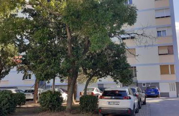 Apartment Calluna - Foto 10