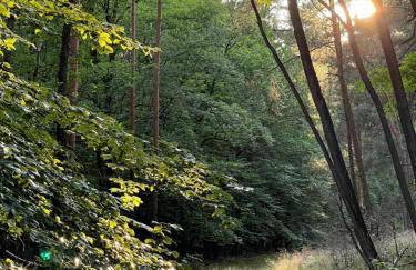 Ferienwohnung Unter den Linden - Foto 22