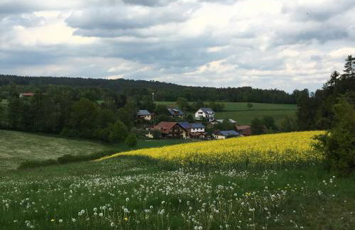 Zirbenholzwohnung Lochau - Foto 30