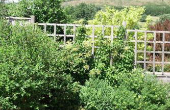 Plas Canol, elegant home in Snowdonia village - Foto 9