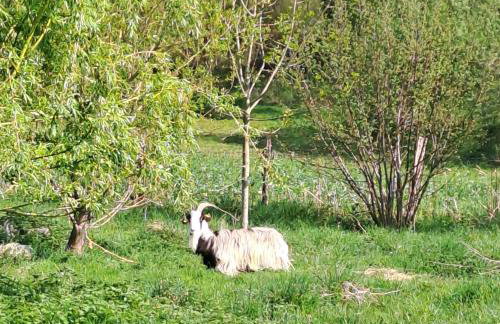 Coume a Case - Gîte 4 étoiles - Charme et nature Vallée d Ossau - Foto 47