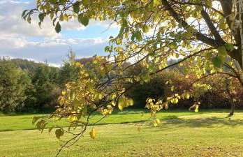 Domek pod borówką - Foto 13