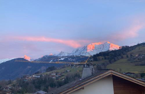 Renovated flat facing Mont Blanc - Photo 36