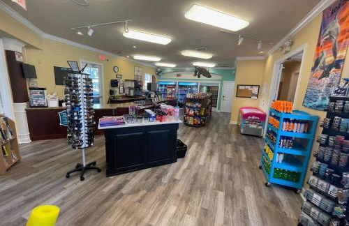 Beautiful Apartment Near Disney - Photo 51