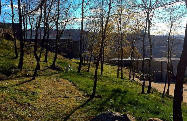 Vald'arêgos Douro Turismo Rural - Foto 36