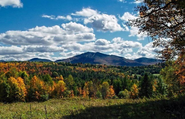 Lodge Condo 30 - Photo 22