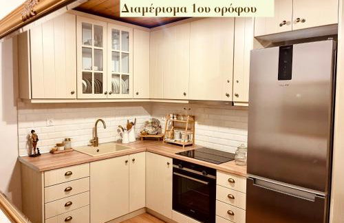 Casa Delicosta- 2 Flat Country house with garden, 15 min from Trikala - Foto 31