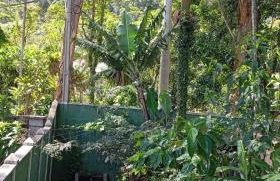 Cabana Jandaia - Foto 24