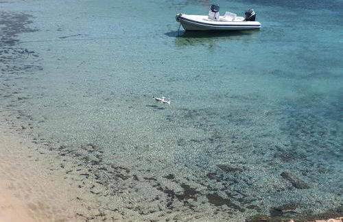 Miramare Isola Rossa - Foto 58