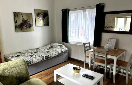 Bright 1 bedroom apartment in central london - Foto 20