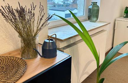 Gemütliches Apartment - Photo 11