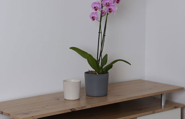 Urban Stay Apartments Vienna - Foto 8