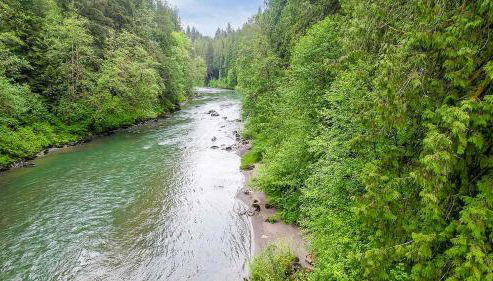 Luna's A-Frame - River & Spa - Foto 3