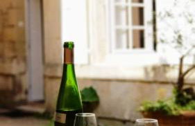 1738 - T1 Bis Corderie Royale RDC hyper Centre - Foto 8