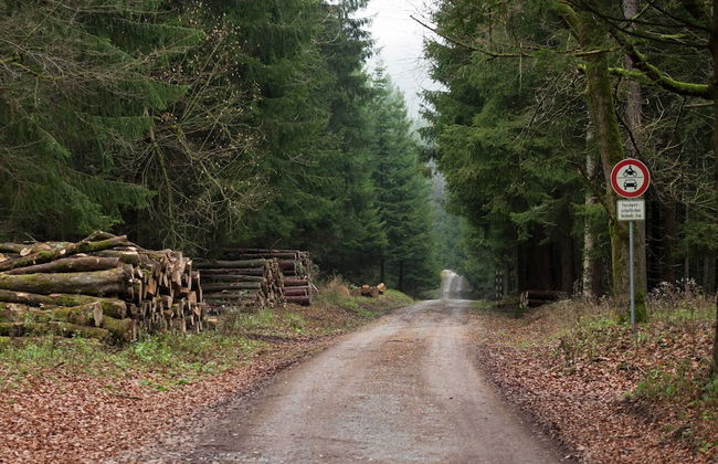 Apartment in Allrode With Terrace - Photo 25