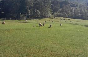 Quinta da Boa Vista São Chico - Foto 22