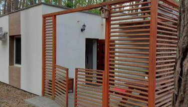 W sosnowym lesie - Foto 2