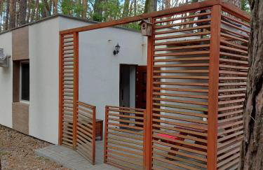 W sosnowym lesie - Foto 2