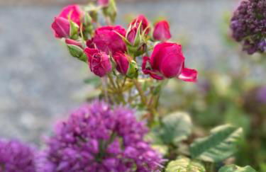 The Winford Retreat - Foto 71