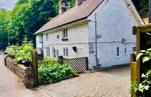 Dale Cottage 18th Century Country Cottage, 111 Barnston road - Foto 1