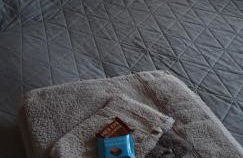 Souterrainwohnung im Grünen - Foto 21