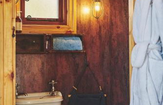 Curious Calf - Foto 18