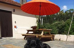 Casa de Coco - Foto 29