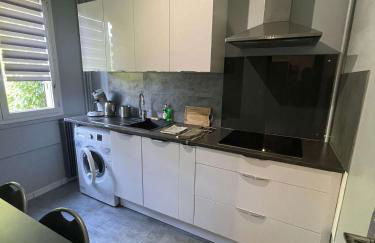 ZEN T1, 400m centre et lycée Bayen, 1400m gare tout confort - Foto 4