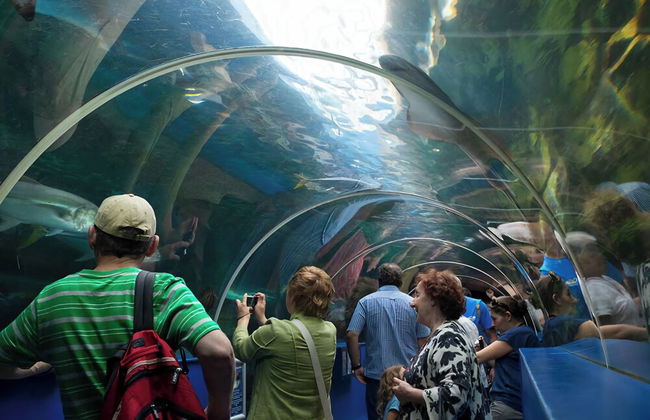 Luxury Family Home Central Bournemouth Sleeps 6 - Foto 25