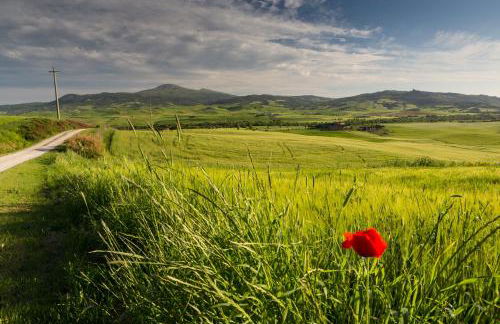 Agriturismo Poggio Tobruk - Foto 37
