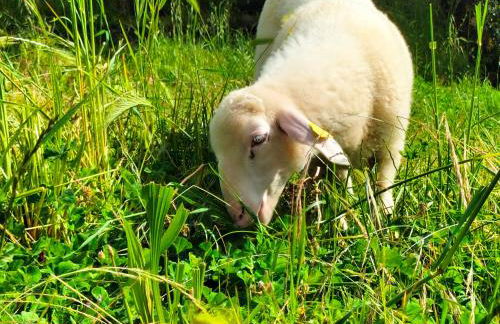 Sunset Valley - A Tuscan Experience - Foto 62