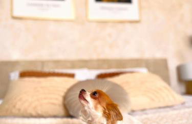 Apartamenty Paryskie Old Town View - Foto 78